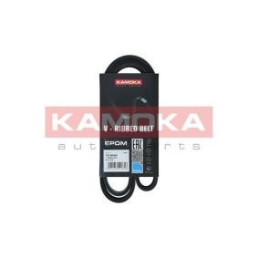 Achetez des Courroie Poly-V KAMOKA 7016093 à prix pour 15,48 €