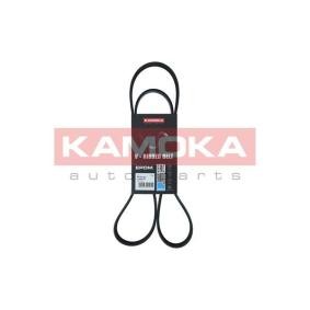 Acquista Cinghia servizi da KAMOKA online per PAJERO III (V7_W, V6_W) a prezzi moderati