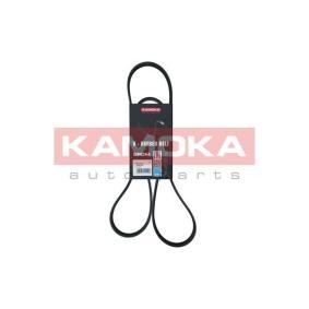 Achetez des Courroie Poly-V KAMOKA 7016107 à prix pour 14,05 €