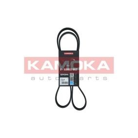 Achetez des Courroie Poly-V KAMOKA 7016108 à prix pour 13,73 €