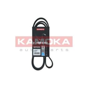 Achetez des Courroie Poly-V KAMOKA 7016122 à prix pour 15,82 €
