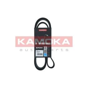 Achetez des Courroie Poly-V KAMOKA 7016127 à prix pour 16,01 €
