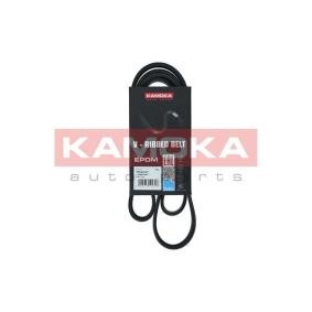 Achetez des Courroie Poly-V KAMOKA 7016147 à prix pour 17,03 €