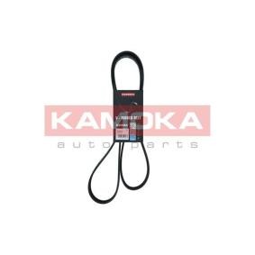 Achetez des Courroie Poly-V KAMOKA 7016151 à prix pour 17,29 €