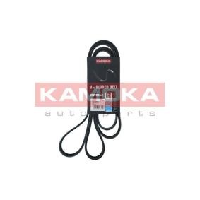 Achetez des Courroie Poly-V KAMOKA 7016155 à prix pour 17,29 €