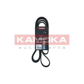Keilrippenriemen 7016185