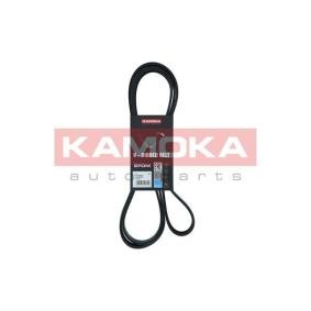 Achetez des Courroie d'alternateur de chez KAMOKA en ligne pour RAM 1500 Standard Cab Pick-up à prix modérés