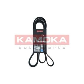 Achetez des Courroie Poly-V KAMOKA 7016238 à prix pour 20,53 €