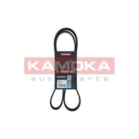 Achetez des Courroie Poly-V KAMOKA 7017012 à prix pour 18,50 €
