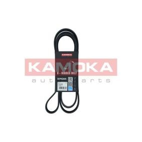 Achetez des Courroie d'alternateur de chez KAMOKA en ligne pour IS II (GSE2_, ALE2_, USE2_) à prix modérés
