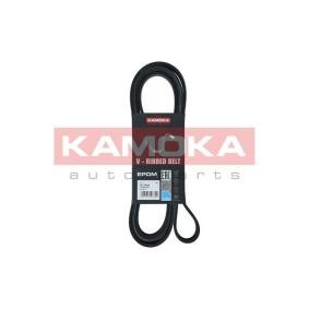 Acquista Cinghia servizi da KAMOKA online per PAJERO IV (V8_W, V9_W) a prezzi moderati