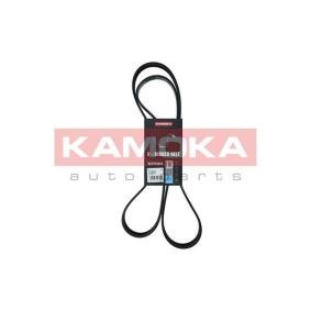 Achetez des Courroie Poly-V KAMOKA 7018004 à prix pour 18,14 €