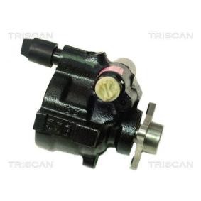 Servopumpe von TRISCAN
