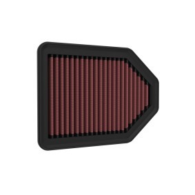 Luftfilter 33-5113 für GENESIS