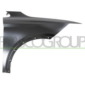 Kotflügel ST7503003