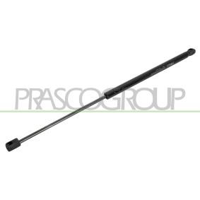 Heckklappendämpfer für VW von PRASCO