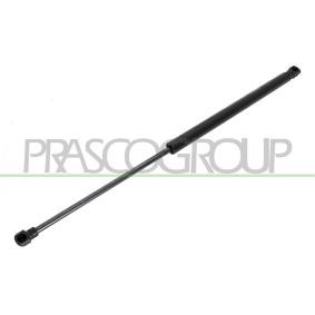 Heckklappendämpfer für VW von PRASCO