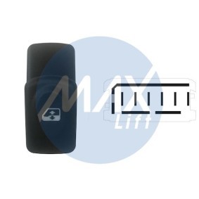 Compre Botonera de elevalunas de MAX online para MEGANE Scenic (JA0/1_) a precios moderados