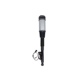 Luftfederbein APM010MT von Magnum Technology günstig für 481,85 € online kaufen