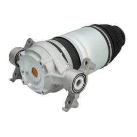 Luftfeder, Fahrwerk MZW004MT von Magnum Technology günstig für 341,32 € online kaufen