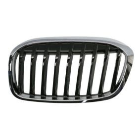 Kühlergrill 6502-07-0071991P