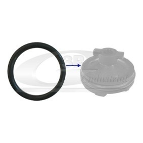 Köp Tätningsring, oljeavtappningsskruv av 3RG 84238 till det låga priset 10,09 kr