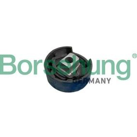 Achskörperlager B10031