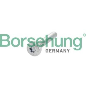 Schraube, Zahnrad-Nockenwelle B10634 VOLKSWAGEN T-ROC von Borsehung