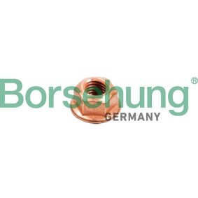 Køb Skrue, udstødningssystem af Borsehung B10638 til den lave pris 35,45 DKK