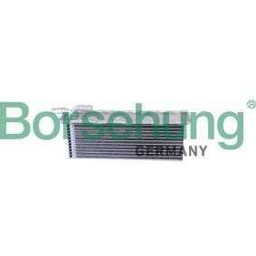 Köp Intercooler av Borsehung B10880 till det låga priset 987,41 kr