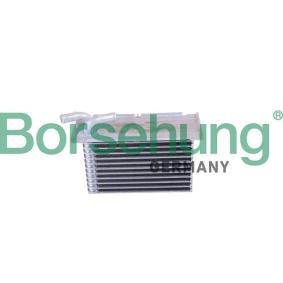 Køb Intercooler af Borsehung B10881 til den lave pris 757,41 DKK
