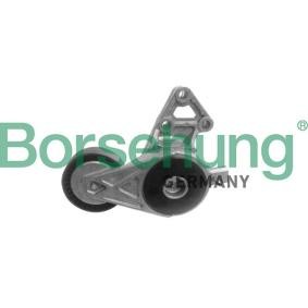 Comprar Tensor de correa poli V de Borsehung B12239 a bajo precio de 46,42 €