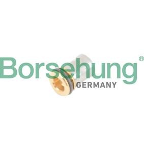 Rückschlagventil von Borsehung