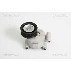 Acquista Braccio tenditore, Cinghia Poly-V da TRISCAN 8641 103022 a buon mercato per soli 108,52 €