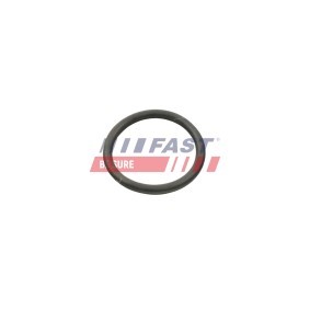 Osta Kaasuläppäkotelo FAST:llä FT50421 edullisesti hintaan 179,72 €