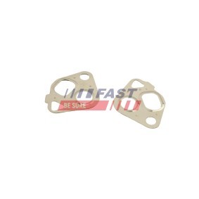 AGR-Dichtung von FAST für LAGUNA II (BG0/1_) günstig online kaufen