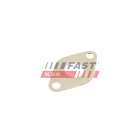 Dichtungssatz, AGR-System von FAST