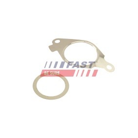 AGR-Ventil-Dichtung FT50610 FIAT SCUDO von FAST