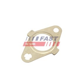 AGR-Ventil-Dichtung FT50612