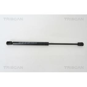 Heckklappendämpfer 8710 29271 von TRISCAN günstig für 36,43 € online kaufen