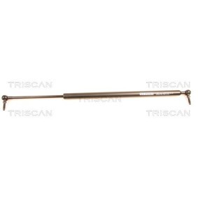 Achetez des Vérin de coffre TRISCAN 8710 80202 à prix pour 64,27 €