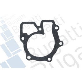 Achetez des Pompe à eau BUGATTI PA0222 à prix pour 47,50 €