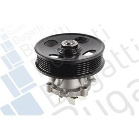 Achetez des Pompe à eau BUGATTI PA10031 à prix pour 61,33 €