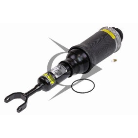 Acquista Ammortizzatore pneumatico da Dunlop Airsuspension 71048 a buon mercato per soli 536,92 €