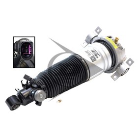 Acquista Ammortizzatore pneumatico da Dunlop Airsuspension 71069 a buon mercato per soli 1419,69 €