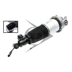 Acquista Ammortizzatore pneumatico da Dunlop Airsuspension 71070 a buon mercato per soli 1419,69 €