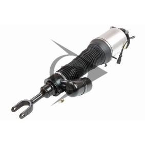 Luftfederbein von Dunlop Airsuspension günstig für 1603,97 €