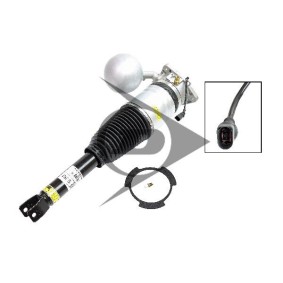 Acquista Ammortizzatore pneumatico da Dunlop Airsuspension 71074 a buon mercato per soli 1420,44 €