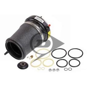 Luftfeder, Fahrwerk von Dunlop Airsuspension günstig für 468,91 €