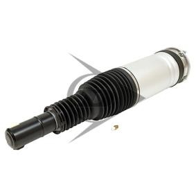 Luftfederbein von Dunlop Airsuspension günstig für 619,86 €